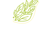 EdenVert