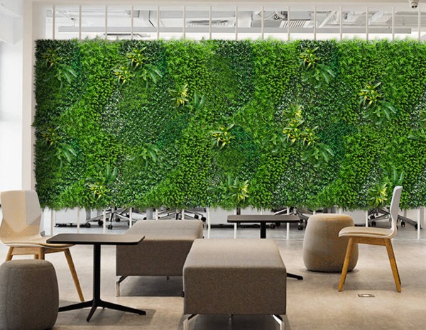 Office Spaces & Meeting Areas