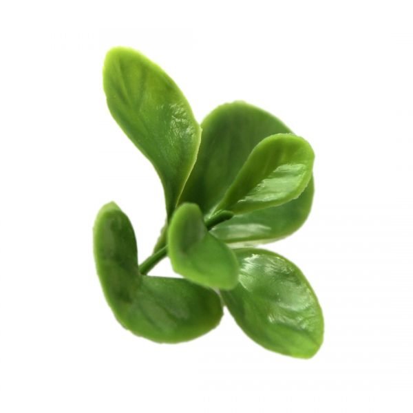 Jade Leaf Green Wall Panel Indoor/Outdoor