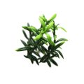 Realistic Rosemary Artificial Hedge Garden Panel