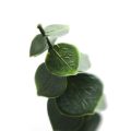 Fake Eucalyptus Wall Panel for Indoor Outdoor