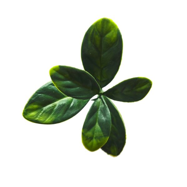Bayberry Leaf Artificial Plant Wall