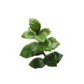 Artificial Green Pachysandra Panel Privacy Screen