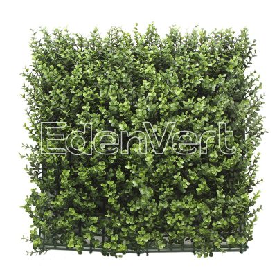 Buxus Wall Panel 50cm x 50cm, 1m x 1m