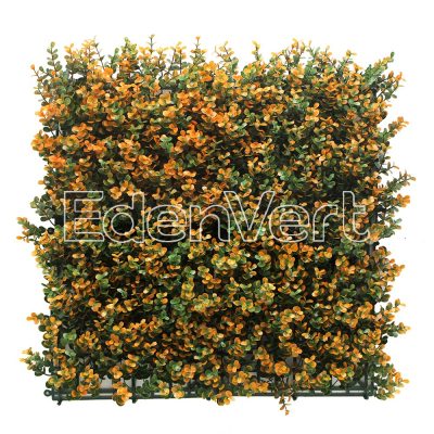 Orange Buxus Panel for Backyard Garden Decoration