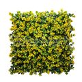 Yellow Pachysandra Wall Backdrop UV Protected
