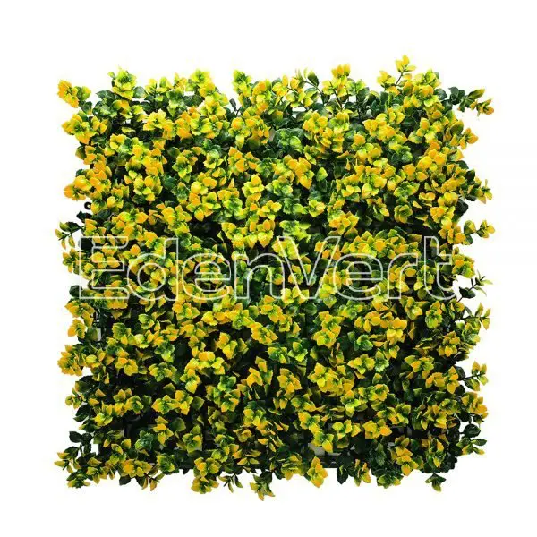 Yellow Pachysandra Wall Backdrop UV Protected