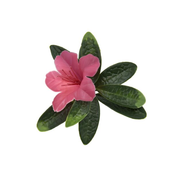 Long-Lasting Azalea Pink Hedge Panel