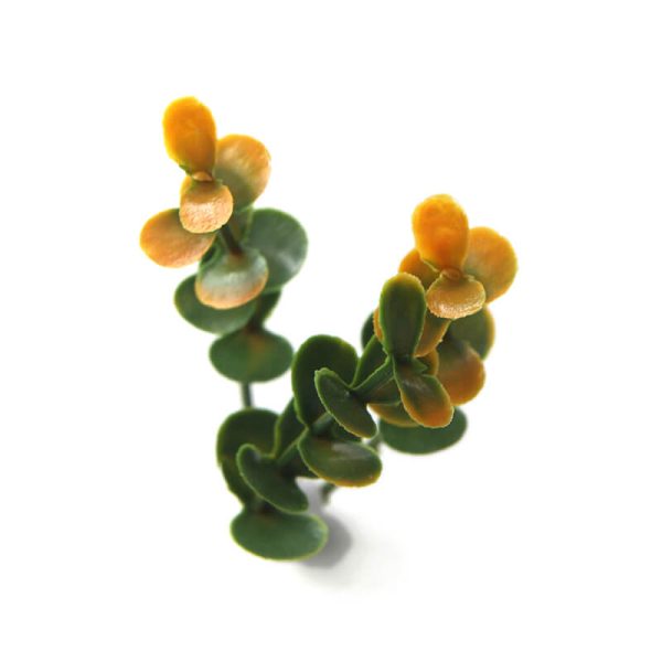 Orange Buxus Panel for Commercial / Home Decoration