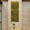 Orange Buxus Panel for Commercial / Home Decoration