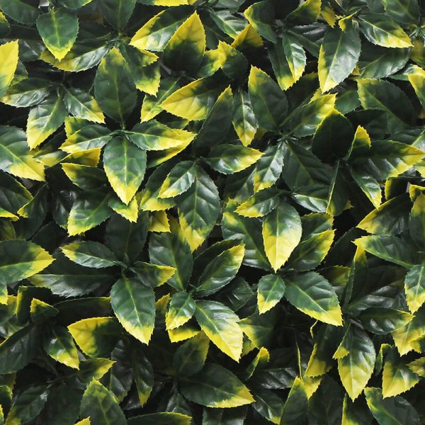 Photinia Leaf Screen / Panel UV Resistant