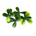 Faux Green Pittoso Leaf Privacy Fence Panel