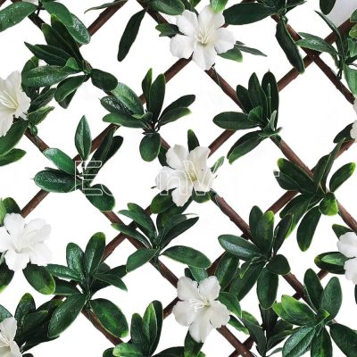 Azalea Leaf Willow Fence with White Flowers