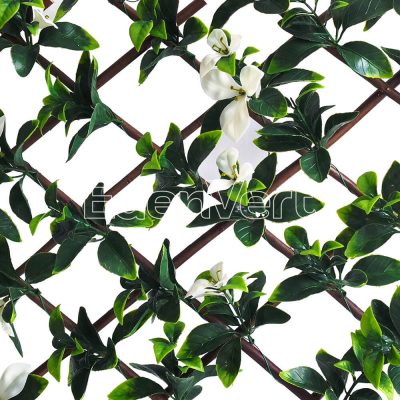 Gardenia Leaf Willow Fence with White Flowers