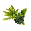 Green Sea Fake Living Panel (Exterior&Interior)