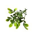 Light Green Murraya Leaf Wall Panel