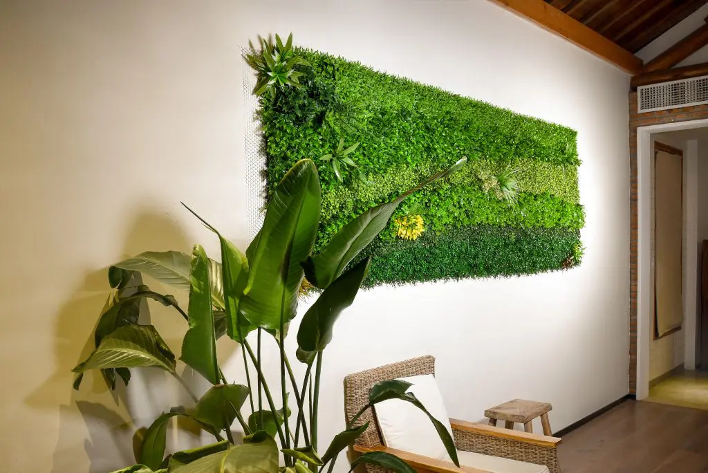 Home Decoration By Plant 1 Home Decoration By Plant