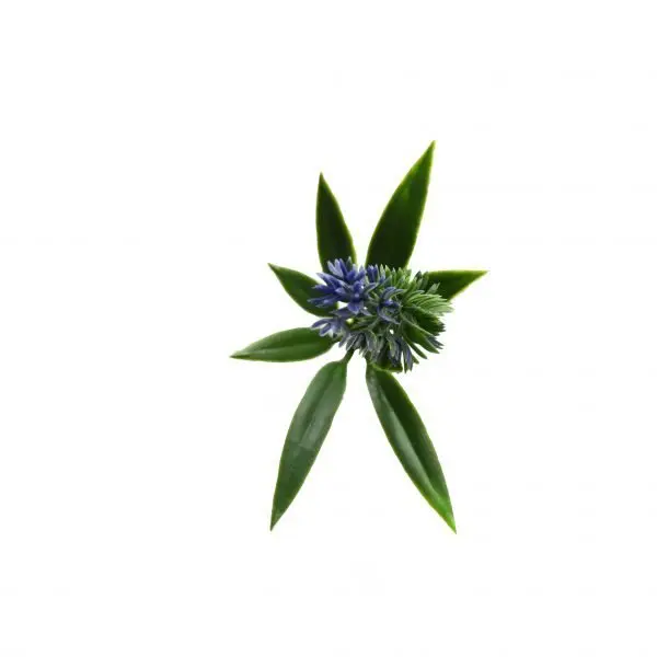 Luxury Lavender Artificial Green Wall