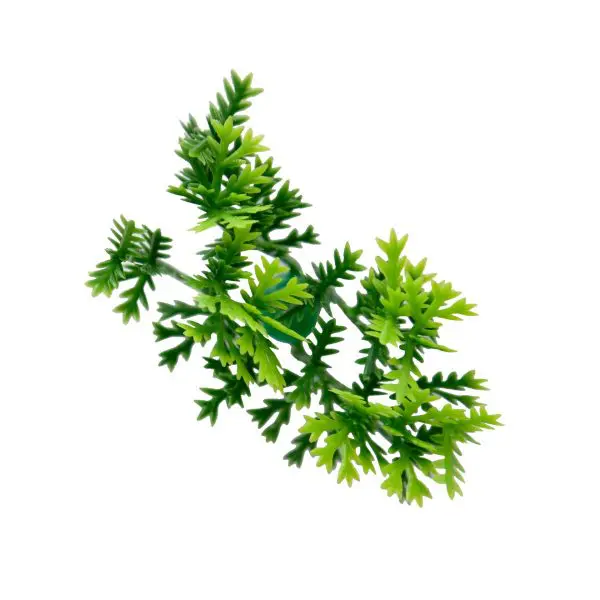 Cupressus Artificial Greenery Wall Panel
