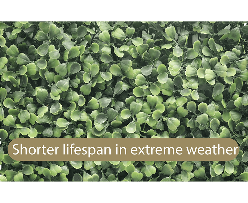 How to choose high quality artificial plants - 5 points 8 34 1