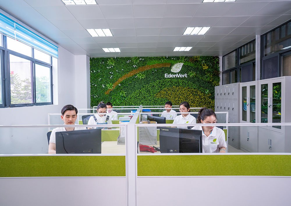 About EdenVert 1 Professional Consultancy
