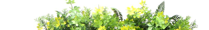 Best Artificial Plants 2 title04 bg Quality Insurance