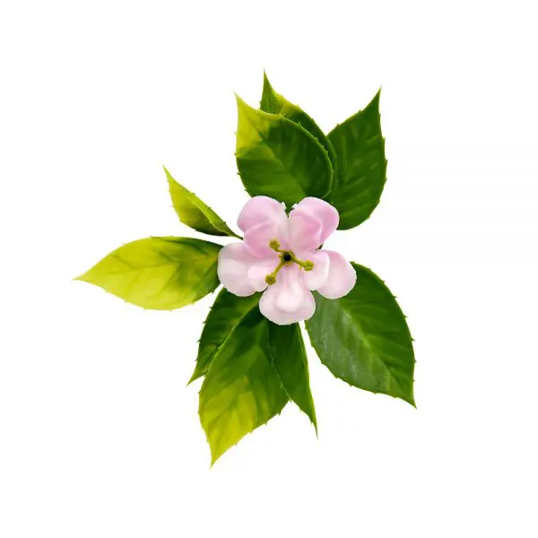Artificial Sakura Wall Panel UV & Fire Rated