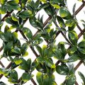 Anti-UV Bayberry Willow Fence Privacy Protection