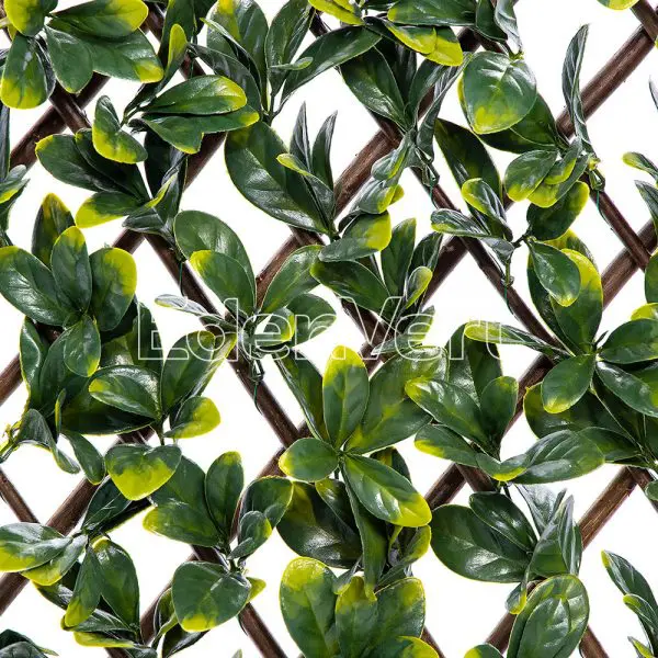 Anti-UV Bayberry Willow Fence Privacy Protection