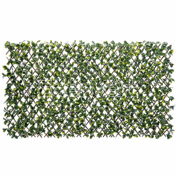 Anti-UV Bayberry Willow Fence Privacy Protection