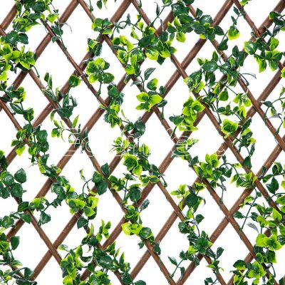 Extensible Pachysandra Willow Fence
