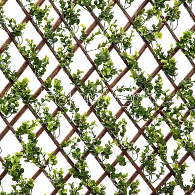 Buxus Willow Fence for Outdoor Garden Decoration