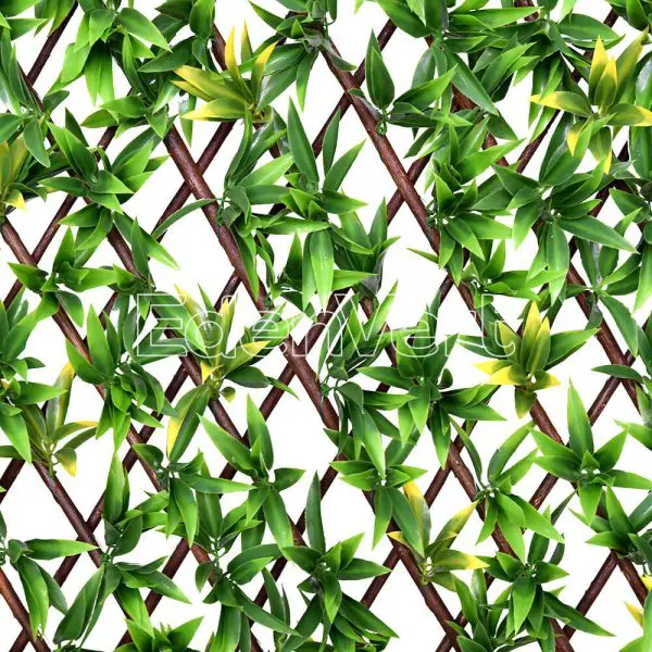 Podocarpus Nagi Willow Fence Extendable Panel