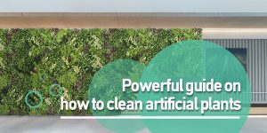 Powerful guide on how to clean artificial plants