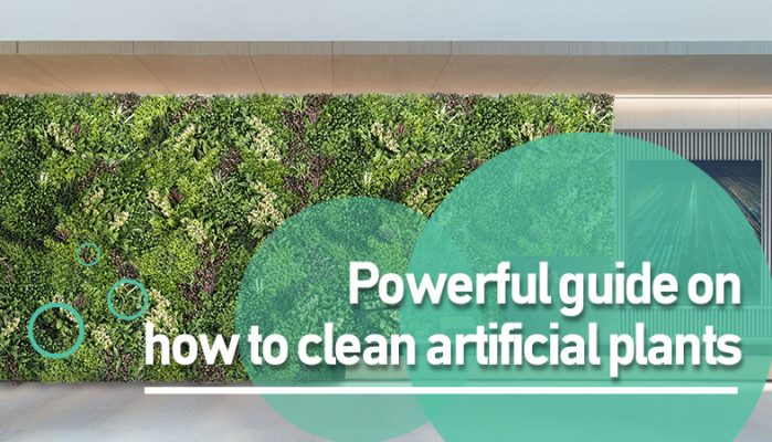 Powerful guide on how to clean artificial plants