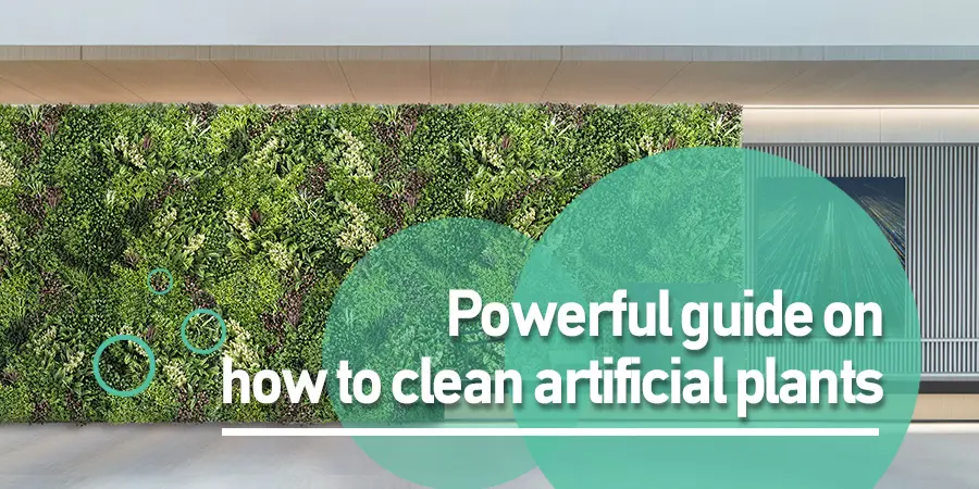 Powerful guide on how to clean artificial plants 1 Powerful guide on how to clean artificial plants