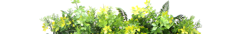 UV Protected Artificial Plants 3 2 1 Quality Insurance