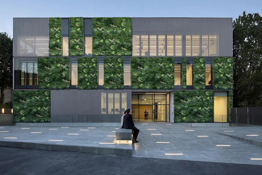 Powerful guide on how to clean artificial plants 3 artificial plant decoration