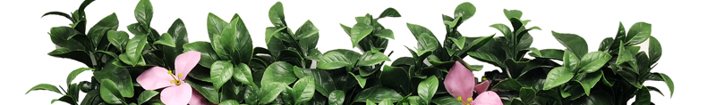 UV Protected Artificial Plants 6 5 Quality Insurance