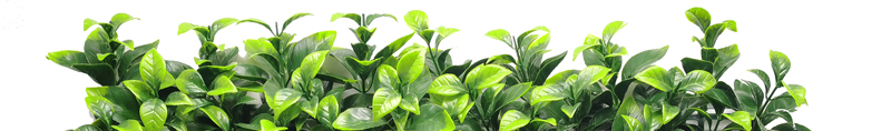 Fire Retardant Artificial Plants 3 f2 Quality Insurance