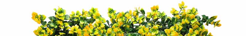 Fire Retardant Artificial Plants 4 fir3 Quality Insurance