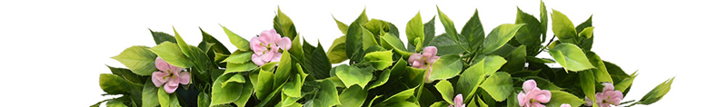 Best Artificial Plants 5 h4 Quality Insurance