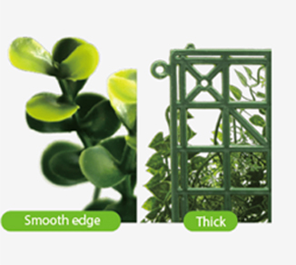 Installation Guides 6 plants1 Products