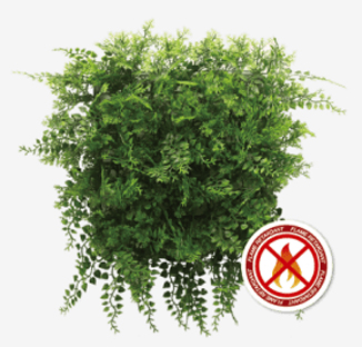 Installation Guides 10 plants5 Products