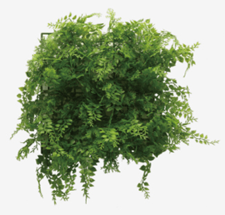 Installation Guides 11 plants6 Products