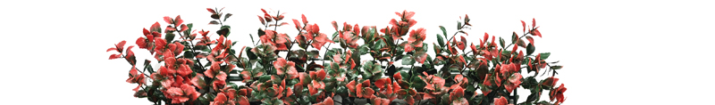 Best Artificial Plants 1 uv3 Quality Insurance
