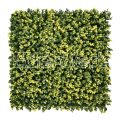Artificial Sinica Bush Hedge Greenery Panel