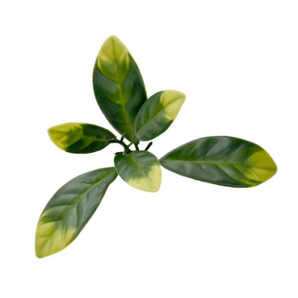 Evergreen Laurel Leaf Wall Panel