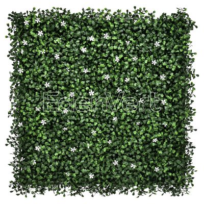 Dark Green Boxwood Panel with Jasmine