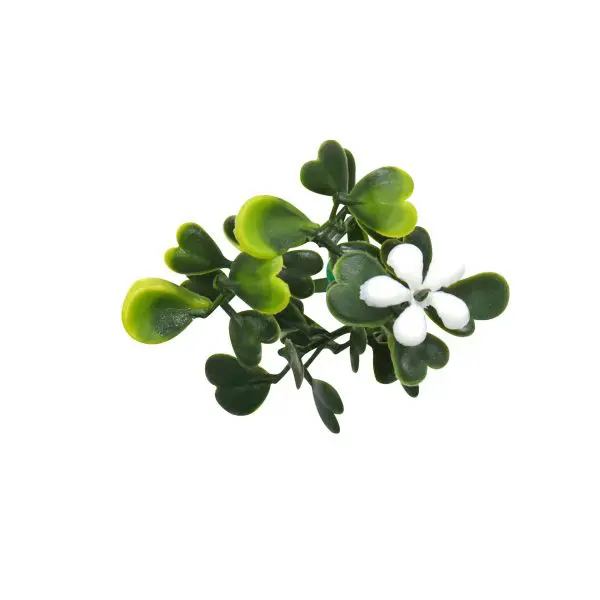 Light Green Boxwood Hedge Wall Mat